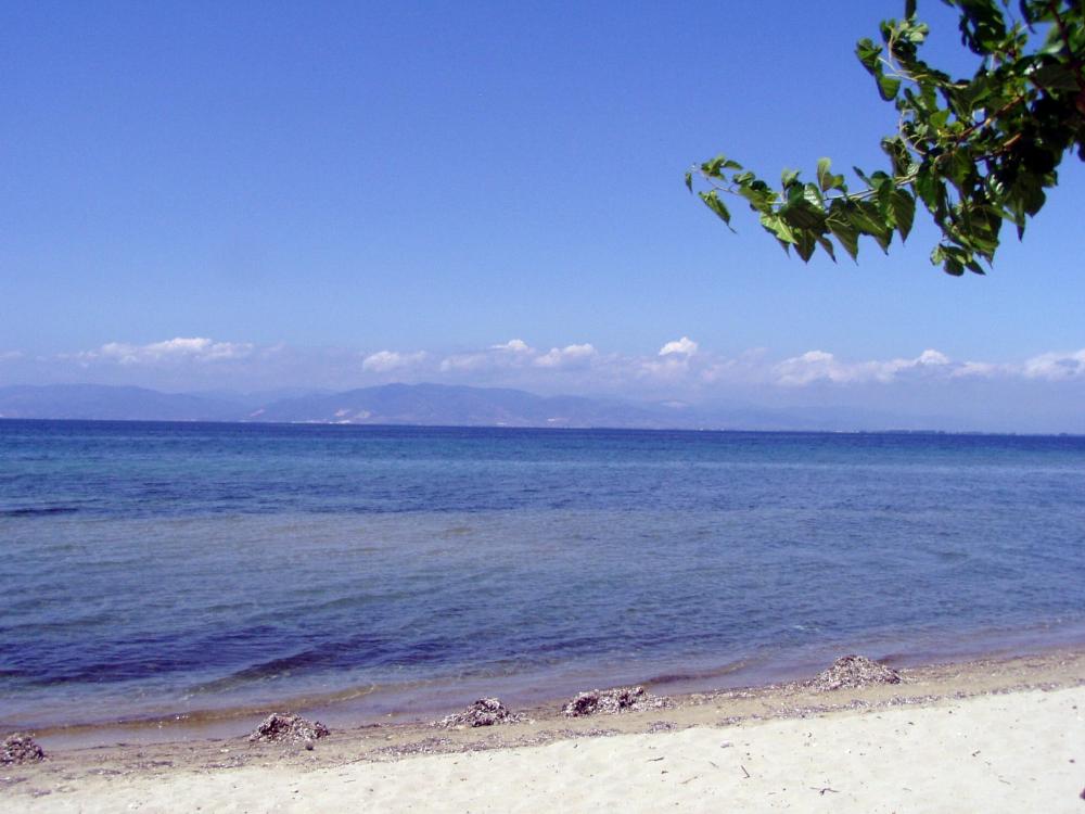 The "Nikos beach.."